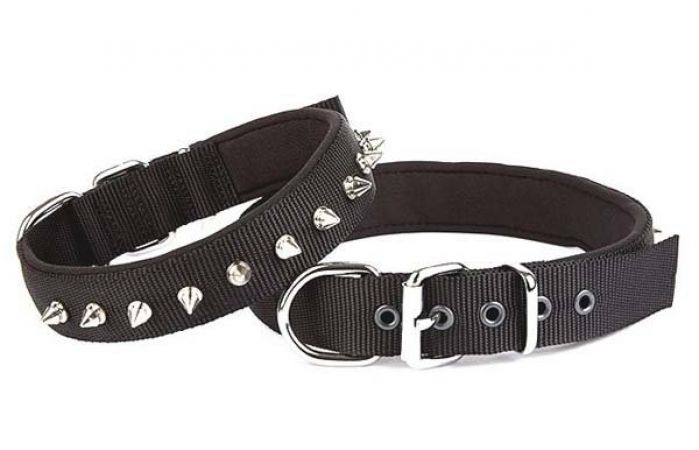 Doggie Comfort Dokuma Çivili Köpek Boyun Tasması Medium Siyah 3x42-50 Cm