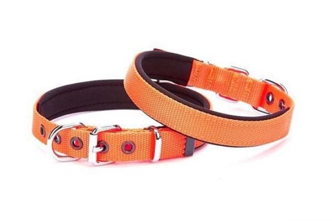 Doggie Comfort Dokuma Köpek Boyun Tasması Small Turuncu 2x20-35 Cm