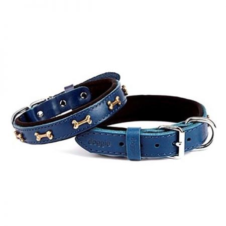 Doggie Comfort Deri Kemik Süslü Köpek Boyun Tasması Medium Mavi 2x35-40 Cm