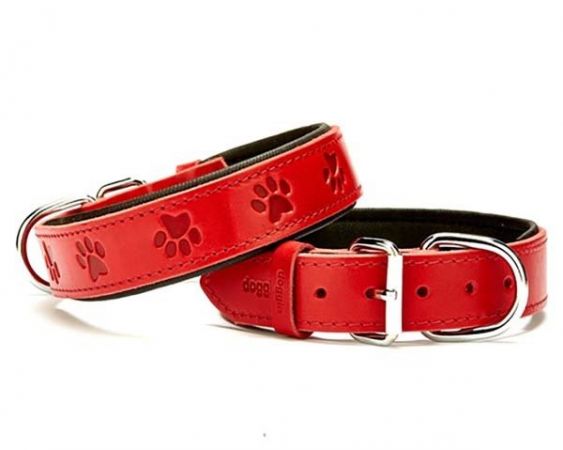 Doggie Comfort Deri Pati Desenli Köpek Boyun Tasması Large Kırmızı 3.5x52-60 Cm