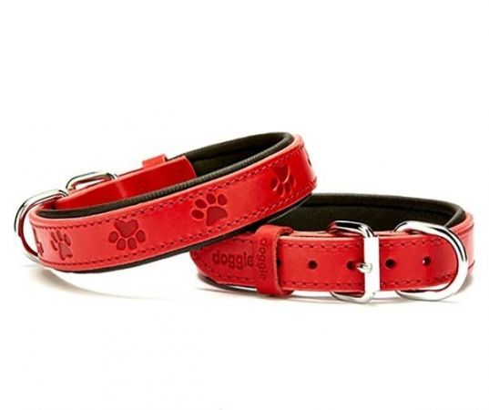 Doggie Comfort Deri Pati Desenli Köpek Boyun Tasması Medium Kırmızı 2.5x37-45 Cm
