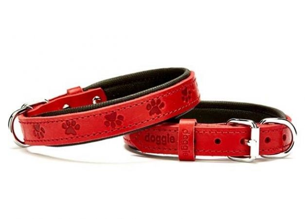 Doggie Comfort Deri Pati Desenli Köpek Boyun Tasması Medium Kırmızı 2x35-40 Cm