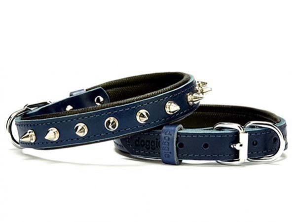 Doggie Comfort Deri Çivili Köpek Boyun Tasması Medium Mavi 2x35-40 Cm