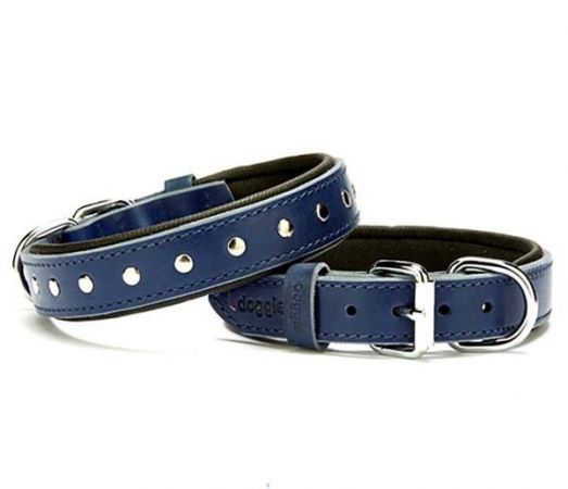 Doggie Comfort Deri Rivetli Köpek Boyun Tasması Medium Mavi 2.5x37-45 Cm