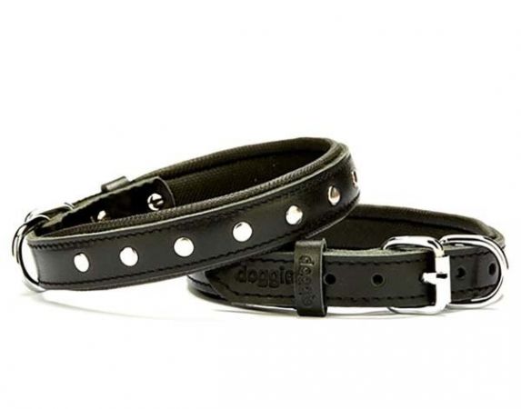 Doggie Comfort Deri Rivetli Köpek Boyun Tasması Medium Siyah 2x35-40 Cm