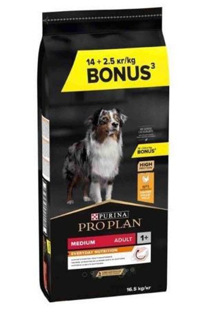 Pro Plan Medium Adult Tavuklu Yetişkin Köpek Maması 16,5kg