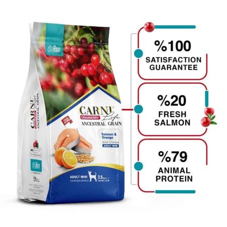 Carni Life Somonlu Portakallı Mini Irk Yetişkin Köpek Maması 7,5 kg