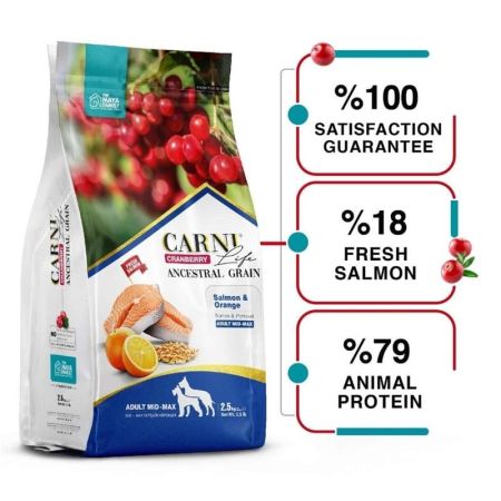 Carni Life Somon ve Portakal Orta ve Büyük Irk Yetişkin Köpek Maması 12 kg