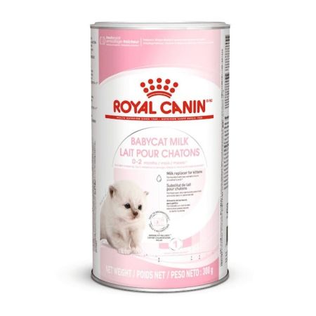 Royal Canin Yavru Kediler için Süt İkame Maması 300g