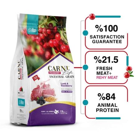 Carni Life Kuzu Etli ve Böğürtlenli Yavru Köpek Maması 2,5 kg