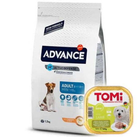 Advance Mini Küçük Irk Tavuklu Köpek Maması 3 Kg + Tomi Kuzu Pate 300 Gr Yaş Mama