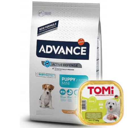 Advance Puppy Mini Küçük Irk Yavru Köpek Maması 3 Kg + Tomi Kuzu Pate 300 Gr Yaş Mama