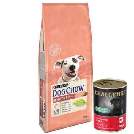 Dog Chow Somonlu Hassas Yetişkin Köpek Maması 14 Kg + 5 Adet Challenge 400 Gr Konserve