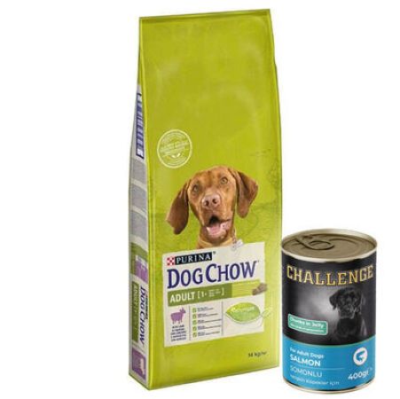 Dog Chow Kuzu Etli Yetişkin Köpek Maması 14 Kg + 5 Adet 400 Gr Challenge Somon Konserve