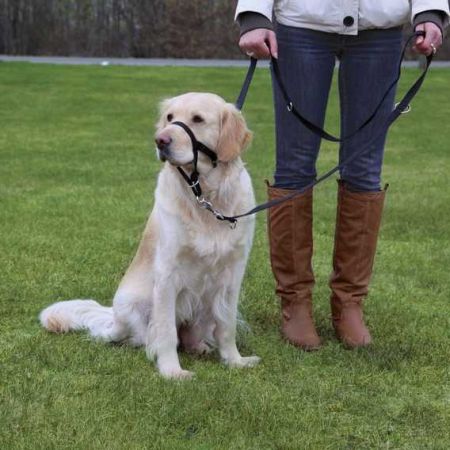Trixie Uzman Köpek Eğitim Tasması XL-Kısa 40cm