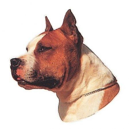 Trixie Köpek Çıkartması St-Stafford Terrier 1 Adet