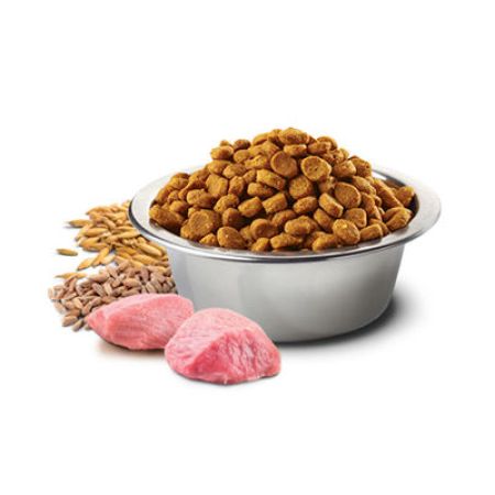 N&D Düşük Tahıllı Kuzulu Kedi Maması 1.5 Kg