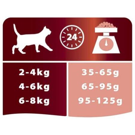 Pro Plan Somonlu Yetişkin Kedi Maması 3 kg