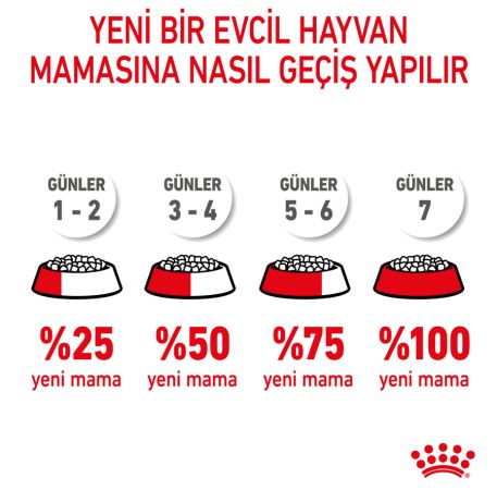 Royal Canin Kitten Yavru Kedi Maması 2 KG