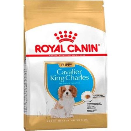 Royal Canin King Charles Yavru Köpek Maması 1.5 kg
