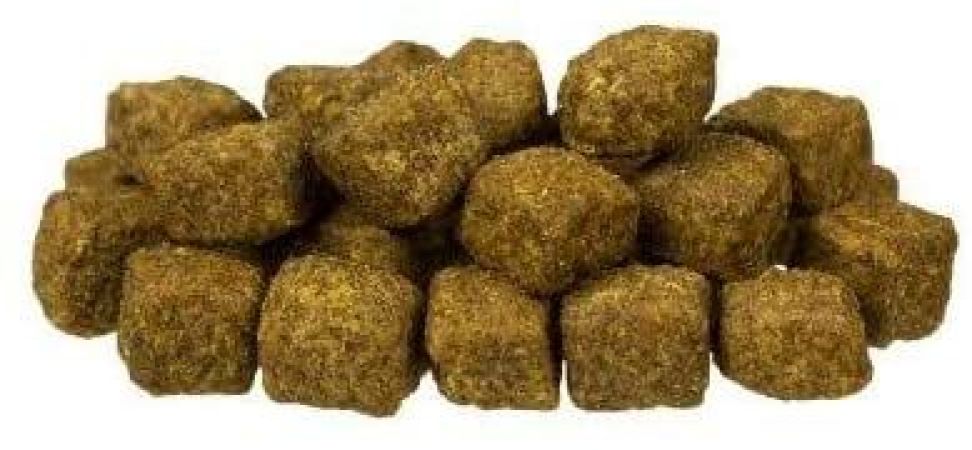 Bosch Kuzu Etli Yavru Köpek Maması 15 KG