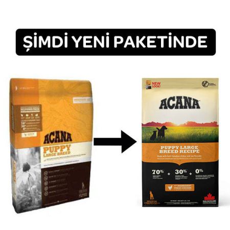 Acana Tahılsız Büyük Irk Yavru Köpek Maması 11.4 KG