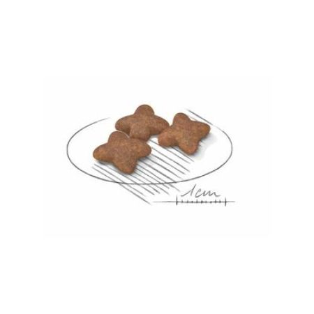 Royal Canin Mini Irk Yaşlı Köpek Maması 2 KG