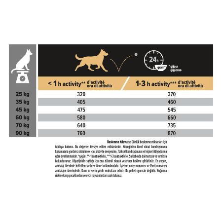 Pro Plan Large Robust Kuzu Etli Büyük Irk Yetişkin Köpek Maması 14 kg