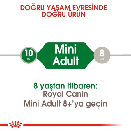 Royal Canin Mini Adult Köpek Maması 4 KG