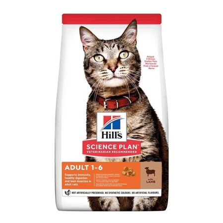 Hills Optimal Care Kuzu Etli Yetişkin Kedi Maması 10 Kg