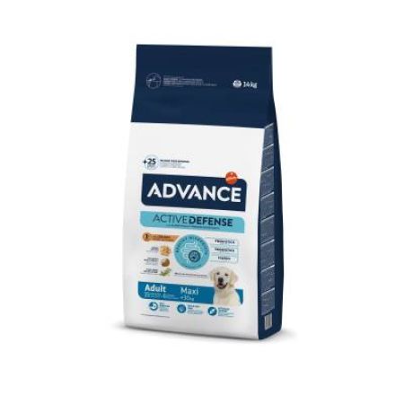 Advance Maxi Adult Yetişkin Büyük Irk Köpek Maması 14 kg