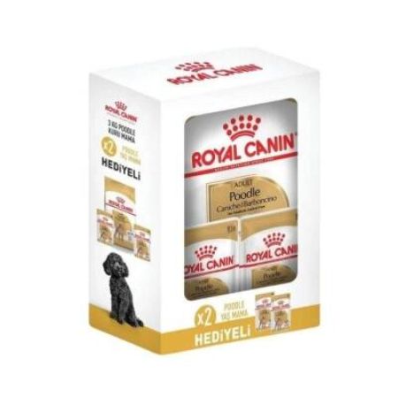 Royal Canin Poodle Adult Yetişkin Köpek Maması 3 kg + 2 Adet Pouch Hediyeli