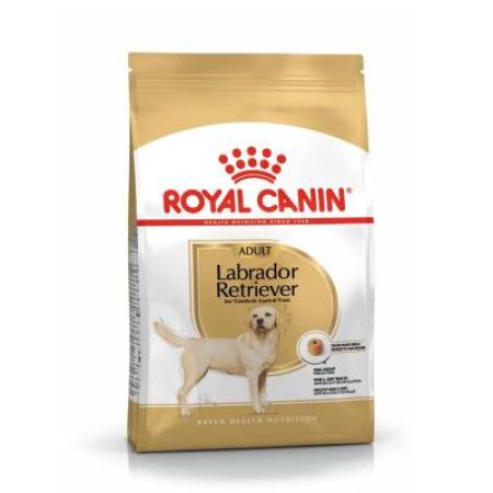 Royal Canin Labrador Retriever Yetişkin Köpek Maması 12 kg