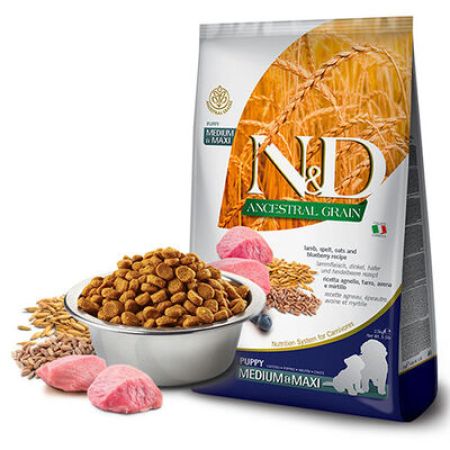 N&D Ancestral Grain Kuzulu Yaban Mersinli Orta ve Büyük Irk Düşük Tahıllı Yavru Köpek Maması 12 Kg 