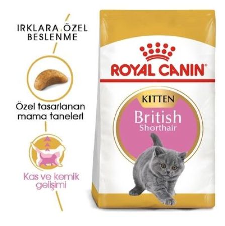 Royal Canin Feline Kitten British Shorthair Yavru Kedi Maması 2KG