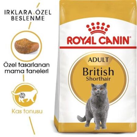 Royal Canin British Shorthair Kedi Maması 4 Kg