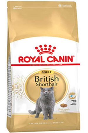 Royal Canin British Shorthair Yetişkin Kedi Maması 4kg