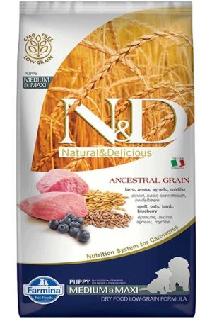 ND Ancestral Grain Düşük Tahıllı Kuzu Eti ve Yaban Mersinli Orta ve Büyük Irk Yavru Köpek Maması 12kg