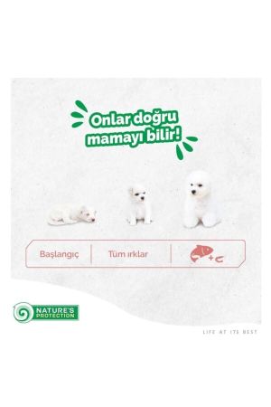 N.Protection White Dogs Tahılsız Somunlu Yavru Köpek Maması 12 KG