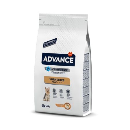 Advance Yorkshire Terrier Yetişkin Köpek Maması 1.5 kg