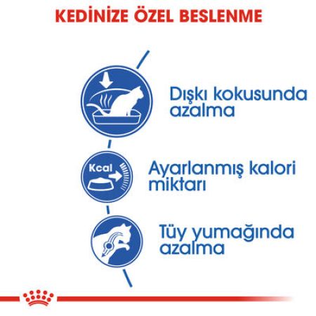 Royal Canin Indoor Ev Kedileri İçin Kedi Maması 2 Kg x 2 Adet + Temizlik Mendili