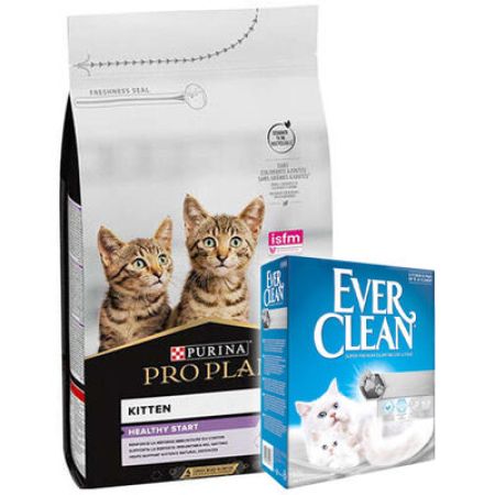 Pro Plan Kitten Yavru Kedi Maması 10 Kg + Everclean 10 Lt Kedi Kumu
