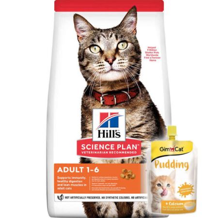 Hills Lamb Kuzulu Yetişkin Kedi Maması 3 Kg + Gimcat Kedi Pudingi 150 Gr