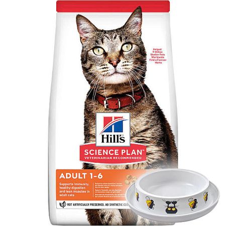 Hills Lamb Kuzulu Yetişkin Kedi Maması 3 Kg + Moderna Desenli Mama Kabı