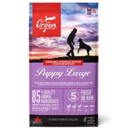 Orijen Puppy Large Tahılsız Büyük Irk Yavru Köpek Maması 11,4 Kg 