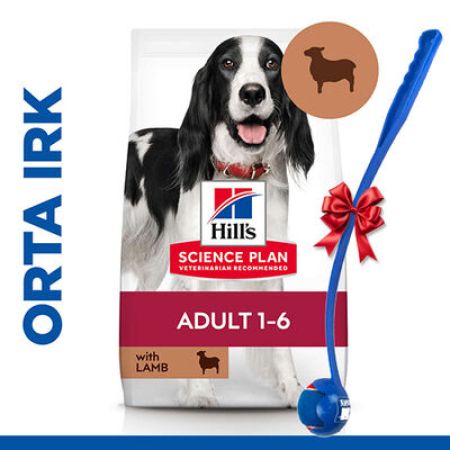 Hills Medium Kuzulu Yetişkin Köpek Maması 14 Kg + Top Fırlatıcı Oyuncak