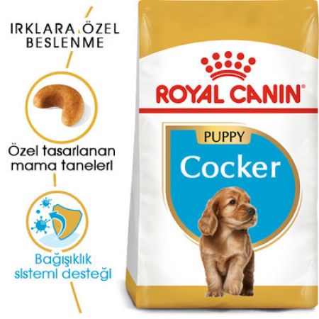 Royal Canin Cocker Puppy Irk Yavru Köpek Maması 3 Kg + Temizlik Mendili