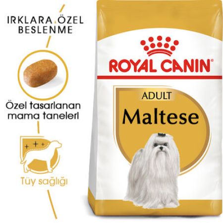 Royal Canin Maltese Bichon Maltais Köpek Maması 1,5 Kg + Temizlik Mendili