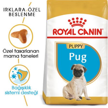 Royal Canin Pug Puppy Irkına Özel Yavru Köpek Maması 1,5 Kg + Temizlik Mendili