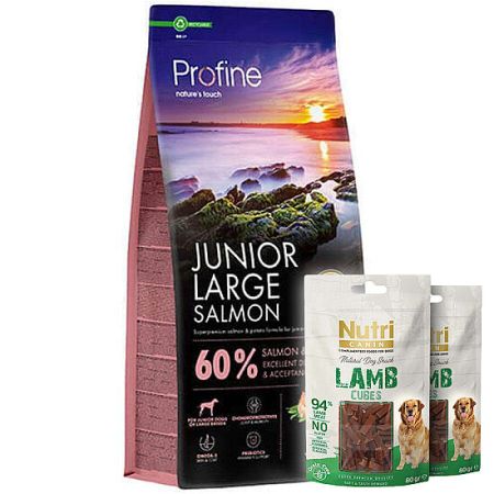 Profine Junior Large Somonlu Yavru Köpek Maması 12 Kg + 2 Adet Nutri Canin Köpek Ödülü